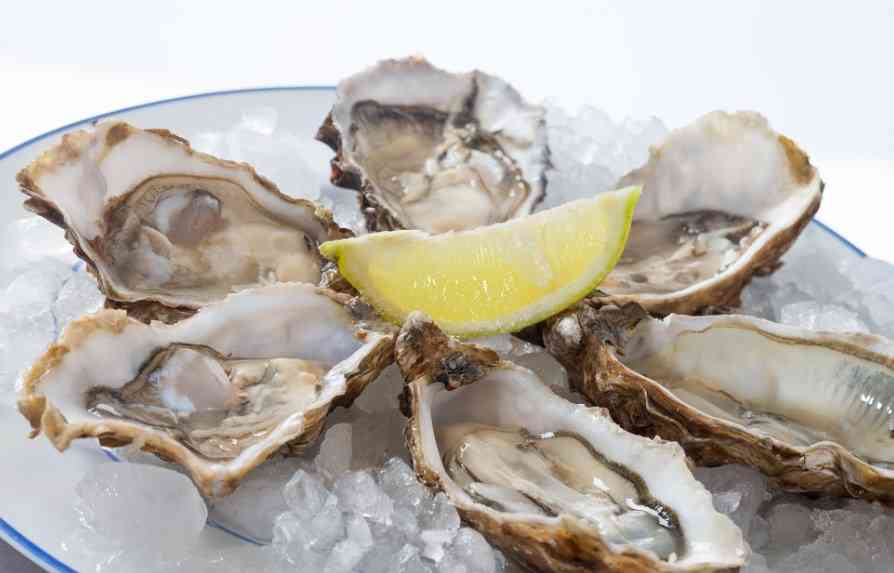 раковины моллюсков