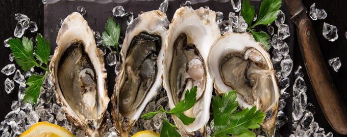 устрицы