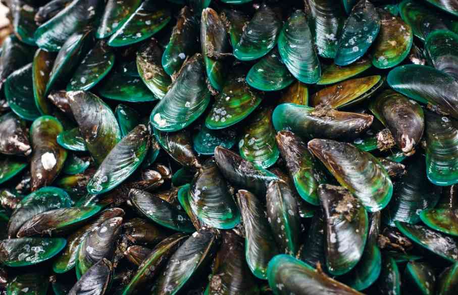 морепродукты 