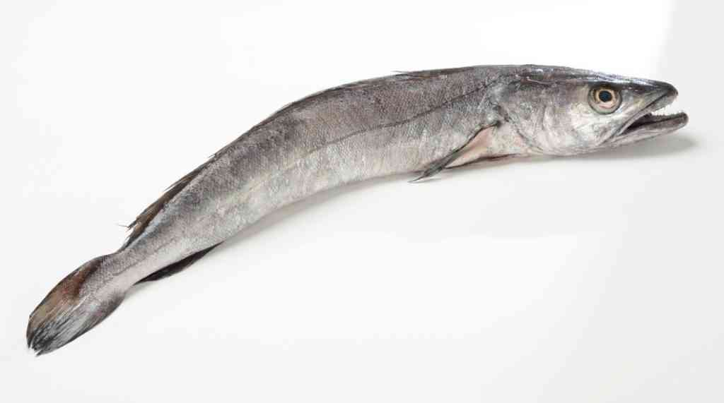 крупный хек 