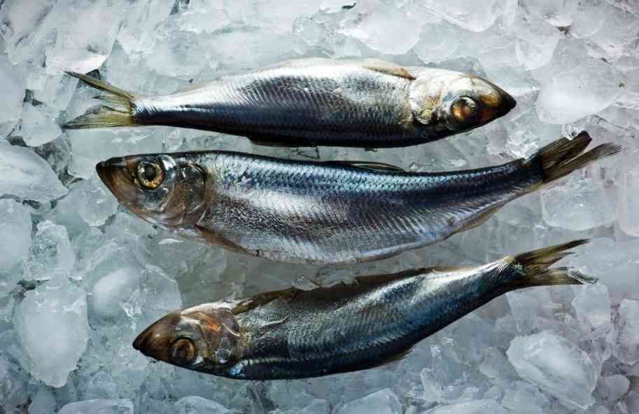 рыба на льду