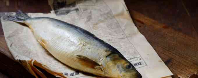 сельдь на газете