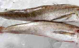 хек молочный