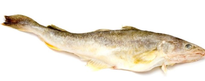 тушка рыбы