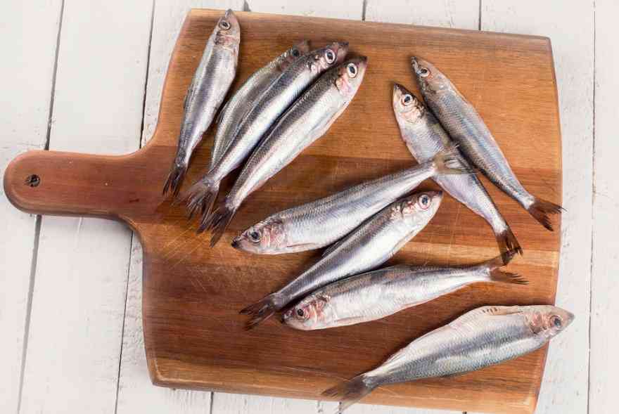 несколько рыбин