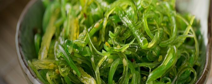 как выглядит морская капуста