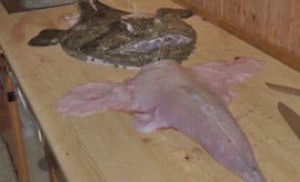 морской черт