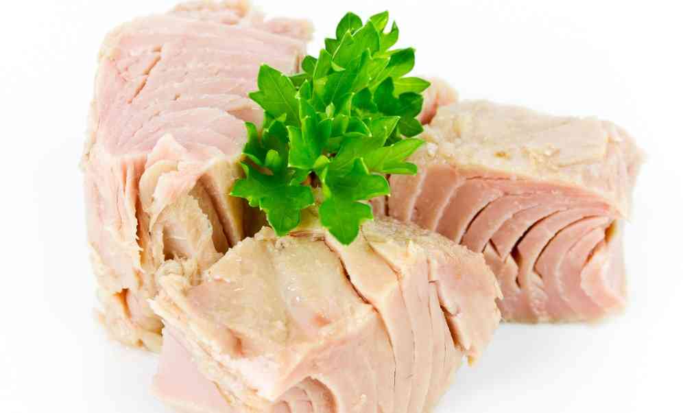 консервы тунца 