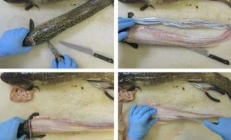 разделка налима