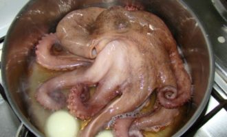варка осьминога