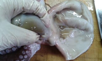 как чистить осьминога