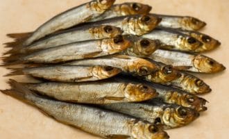 как коптить салаку