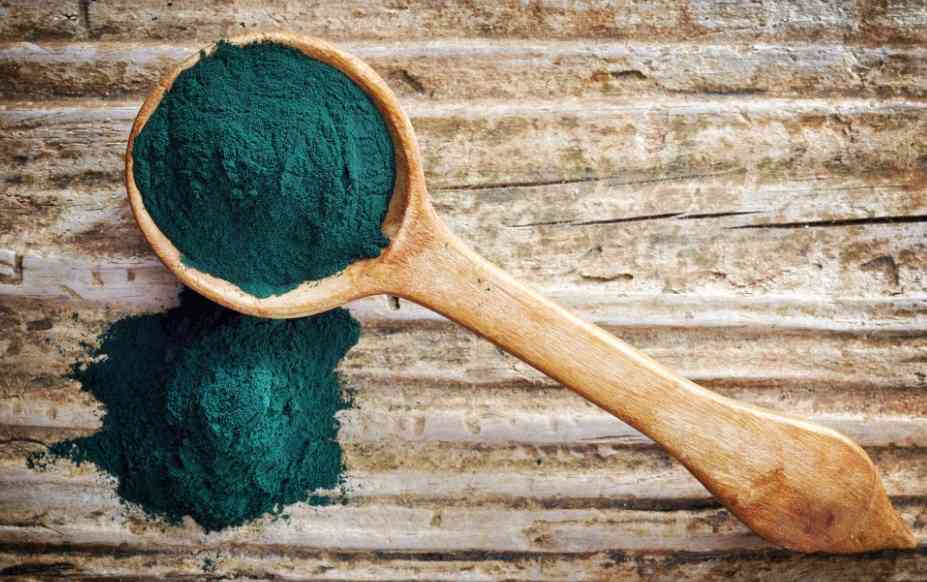 порошок хлореллы 