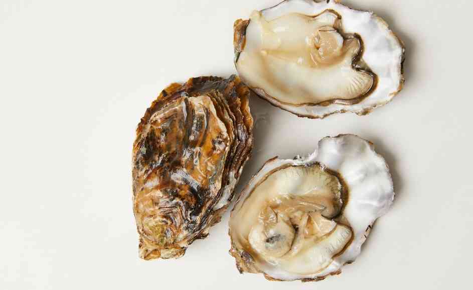 устрицы