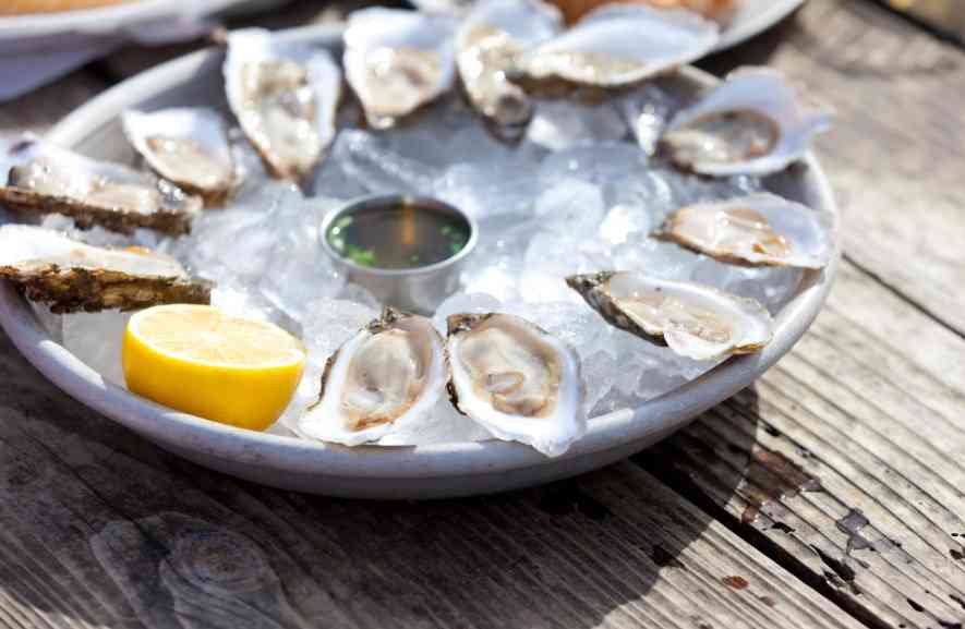 внешний вид устриц