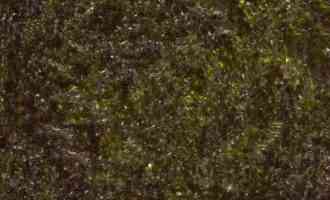 как выглядят нори