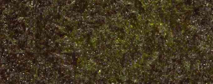 как выглядят нори