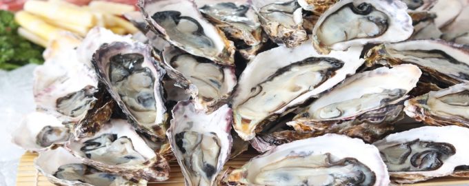 подача устриц на блюде