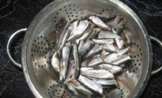 килька с сите