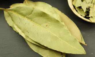 лавровый лист