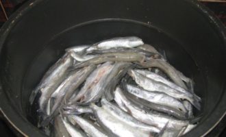 мойва в кастрюле