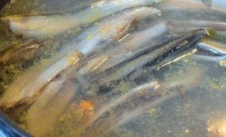 мойва в воде