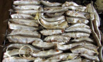 мойва с луком