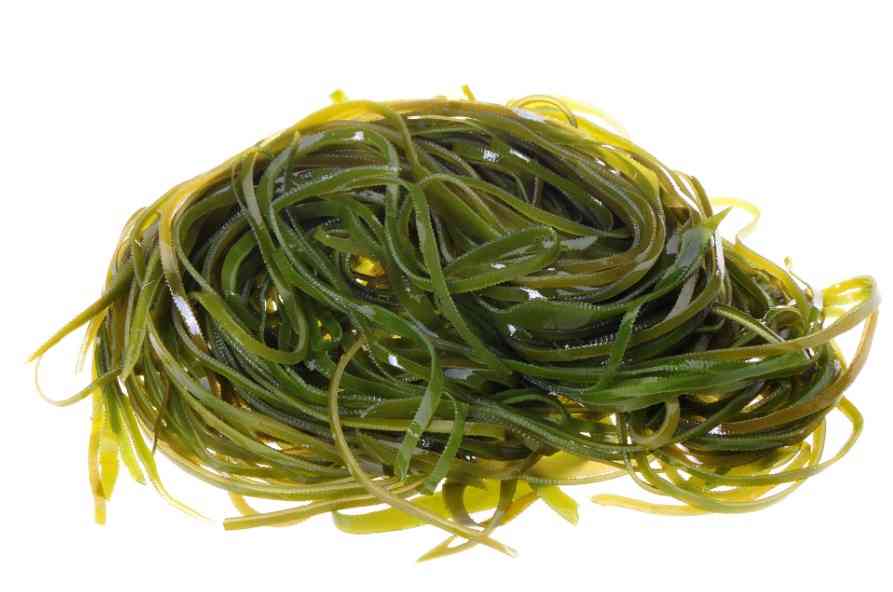 свежзая морская капуста