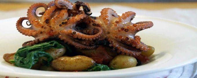 осьминог в готовом виде