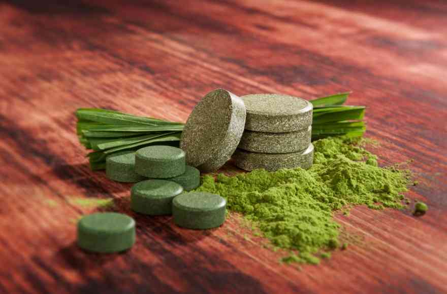 морские водоросли