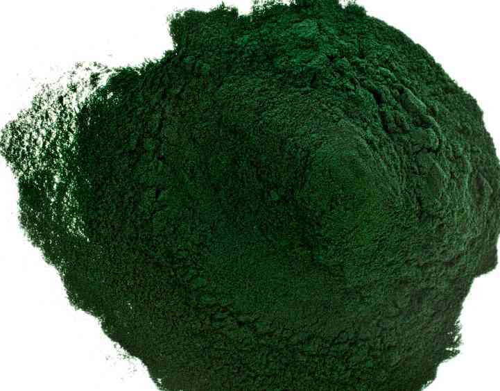 порошок из морских водорослей