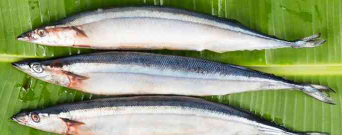 как выглядит сайра