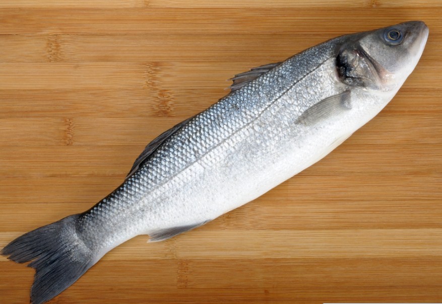 стоимость рыбы сибас 