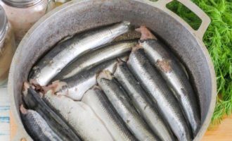 салака очищеная без головы