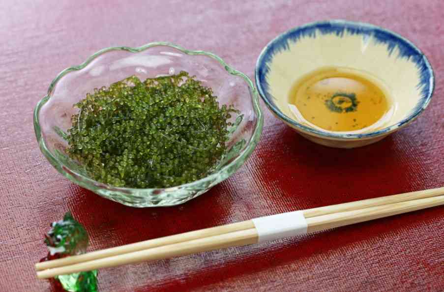 подача саргассовых водорослей