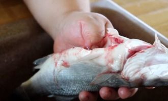 удаление внутренностей