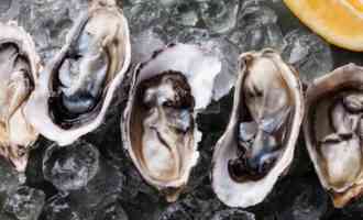 сколько стоят устрицы