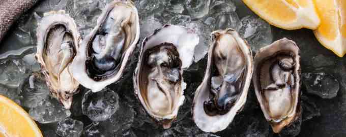 сколько стоят устрицы