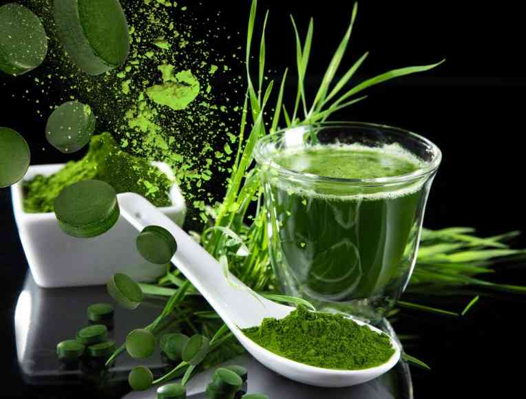 чем полезна спирулина