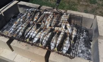 ставрида на коптилке