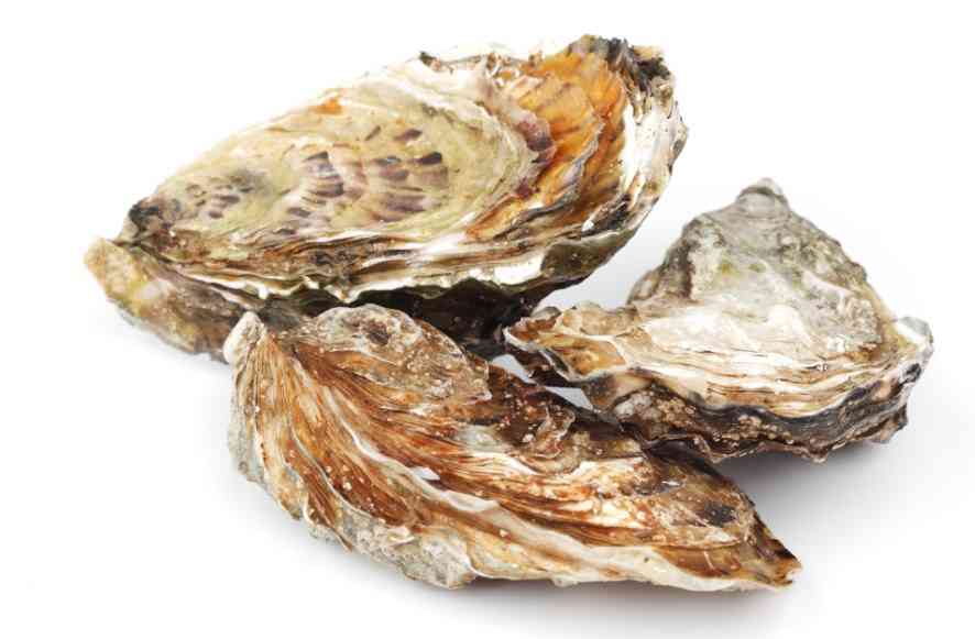 морепродукты