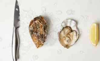 подача устриц