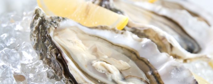 подача устриц