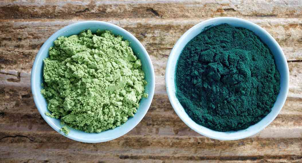 порошок спирулины