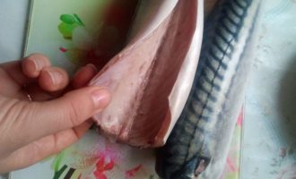 чистка скумбрии