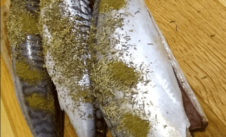 Скумбрия в специях