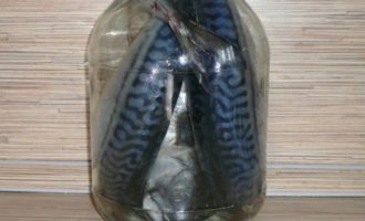 скумбрия маринованная в бутыле