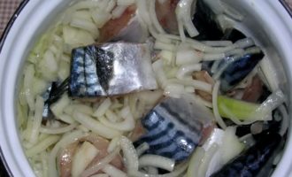 скумбрия с луком