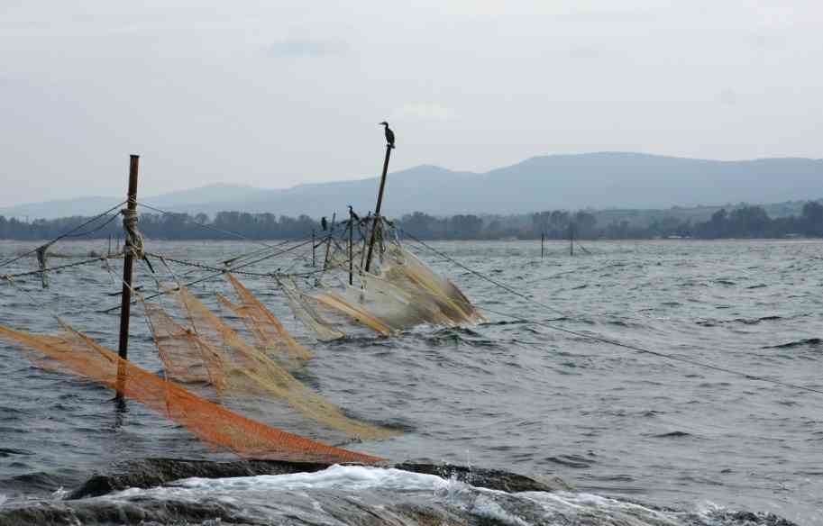 ловля сетями