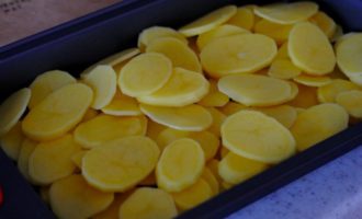 картофель в виде пластов